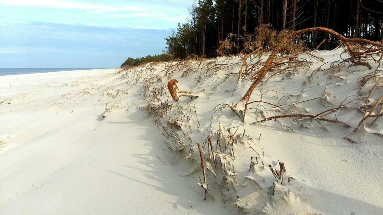 Marina Sasino - Komfortowe Domy Z Sauna I Kominkami Екстер'єр фото